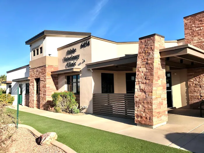 Adobe Veterinary Clinic 4