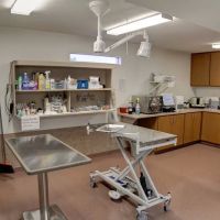 Adobe Veterinary Clinic ico