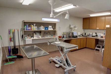 Adobe Veterinary Clinic