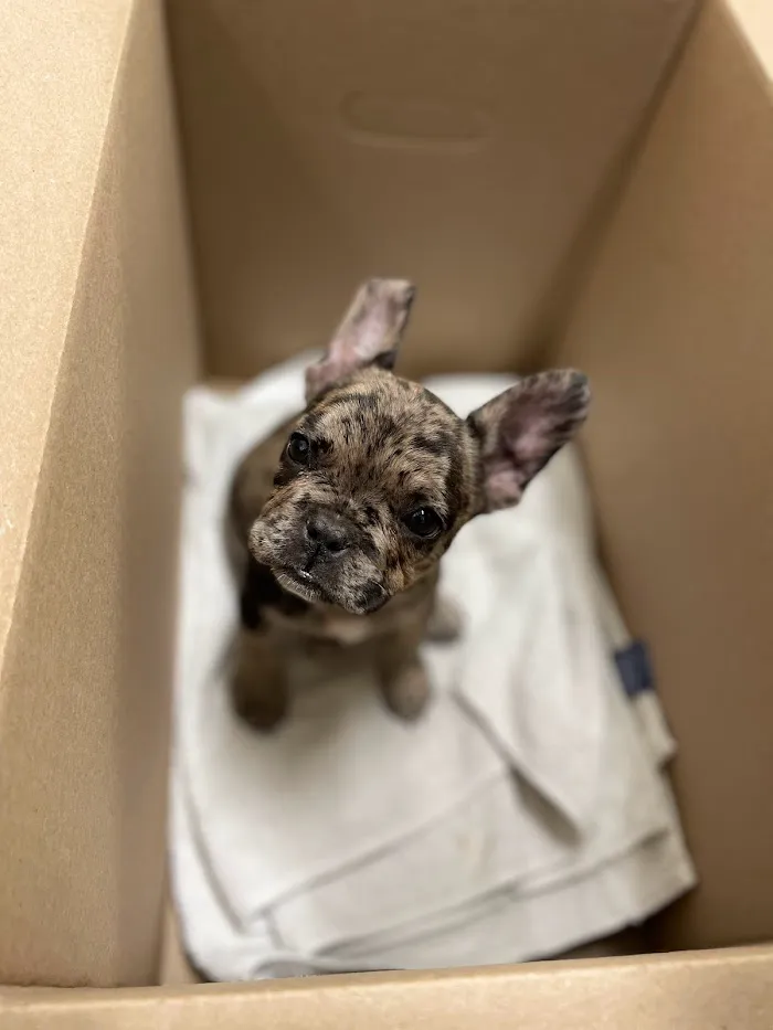 ARISE Veterinary Center 12