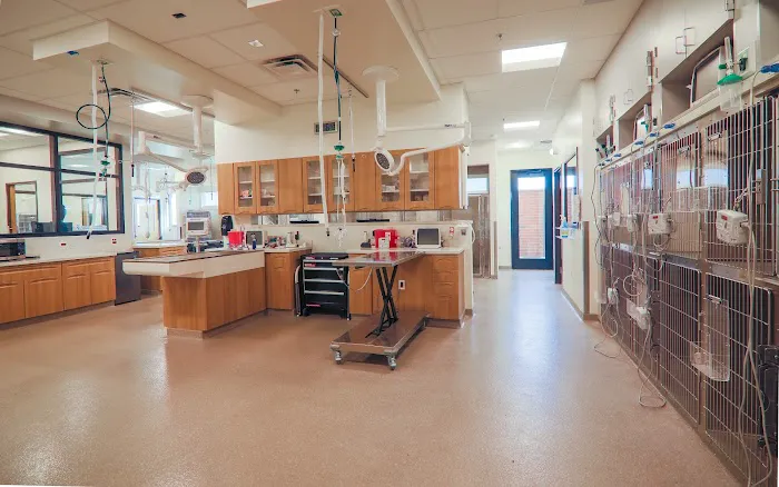 ARISE Veterinary Center 12