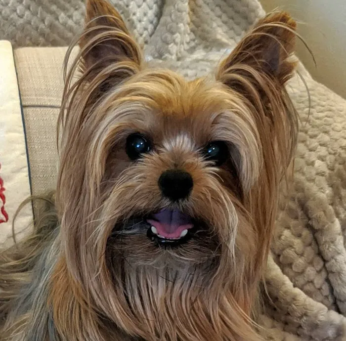 Noe's Ark Animal Hospital 8