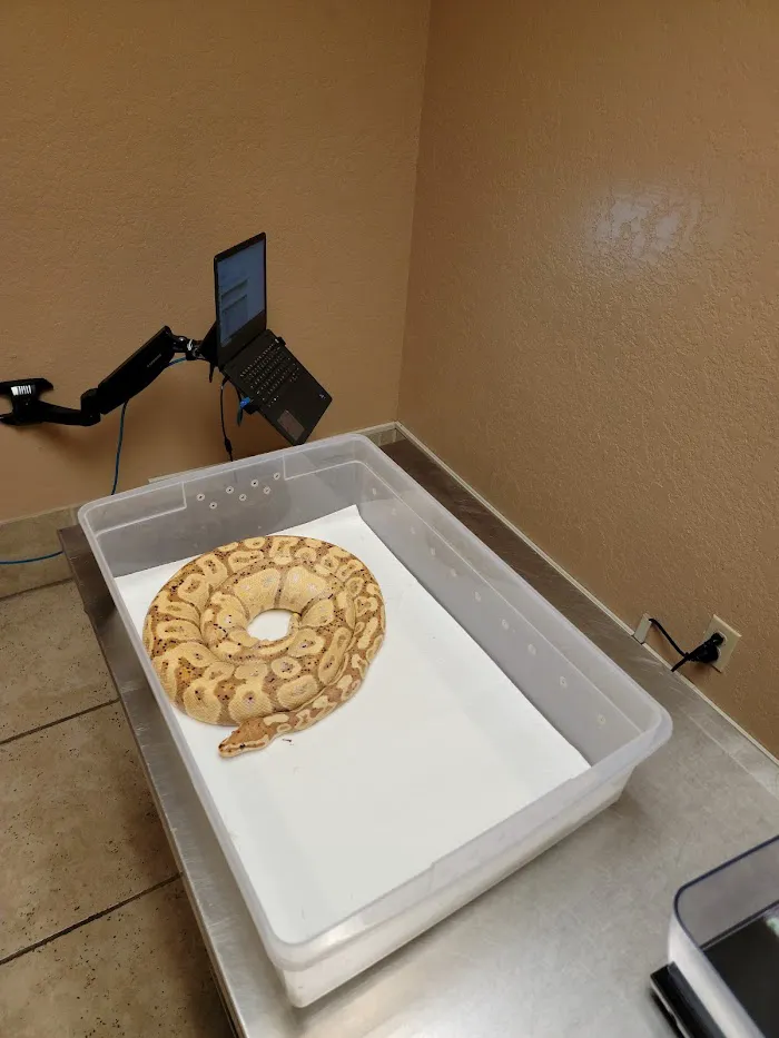 Arizona Exotic Animal Hospital: Johnson Jay DVM 12