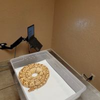 Arizona Exotic Animal Hospital: Johnson Jay DVM ico