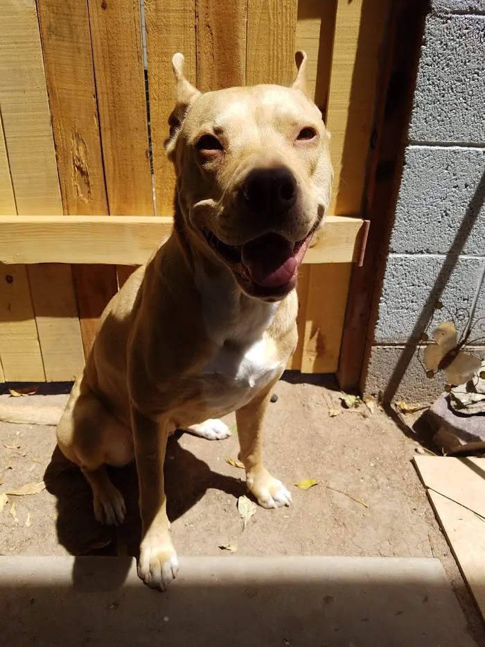 Banfield Pet Hospital 9