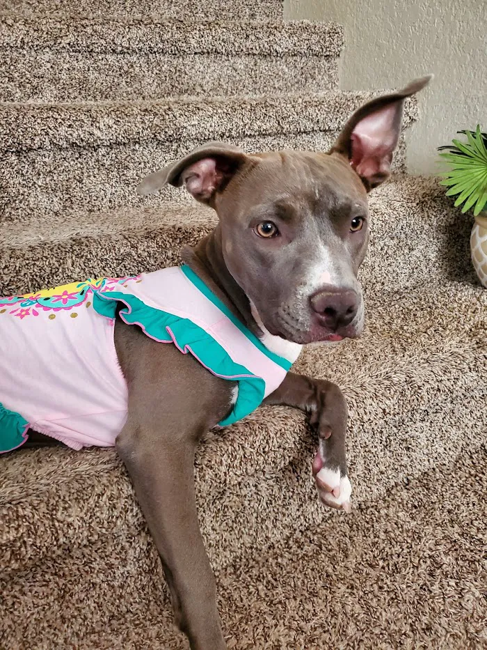Banfield Pet Hospital 8