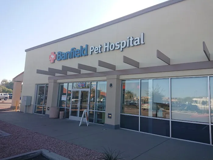 Banfield Pet Hospital 1