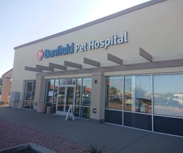 Banfield Pet Hospital