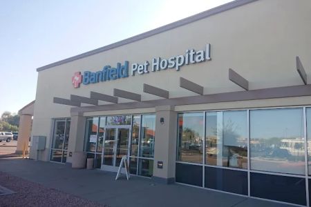 Banfield Pet Hospital