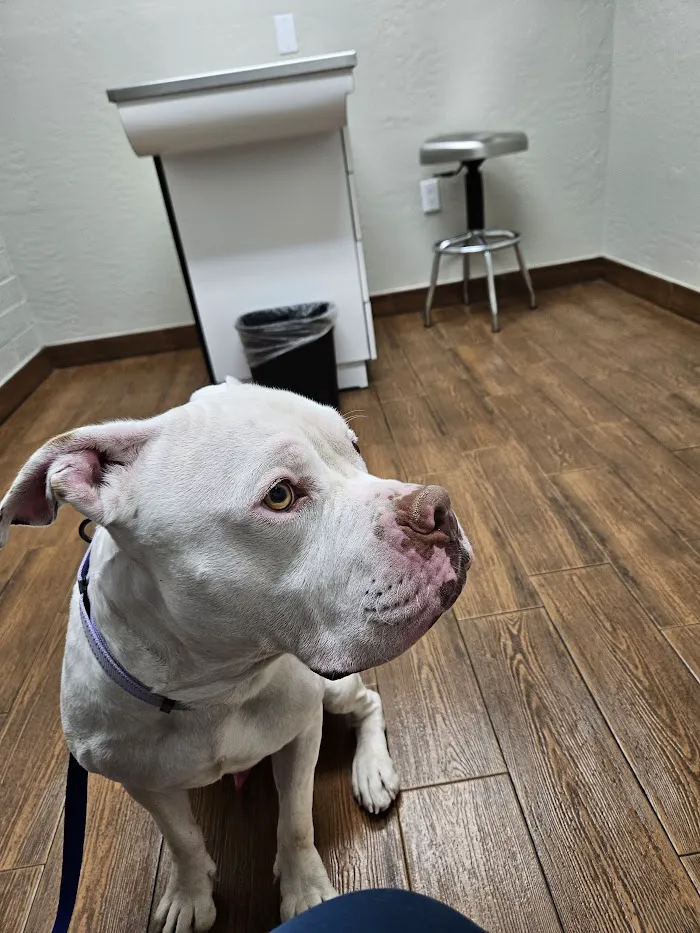 Homestead Animal Clinic 12