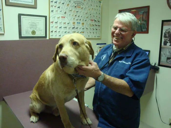 Palo Verde Animal Hospital 12