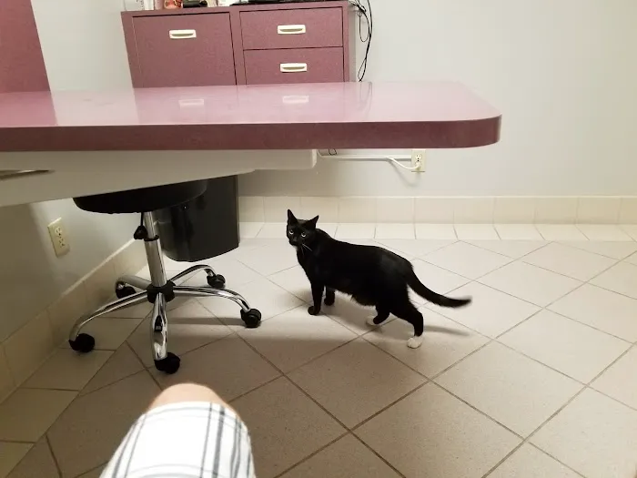 Palo Verde Animal Hospital 12