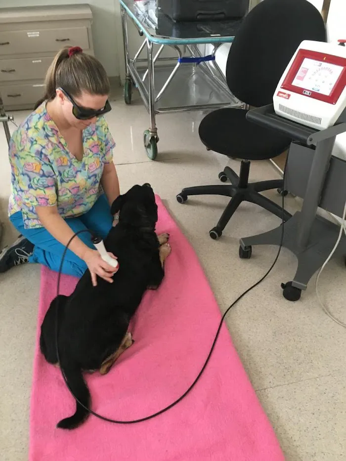 Valley West Animal Hospital 12