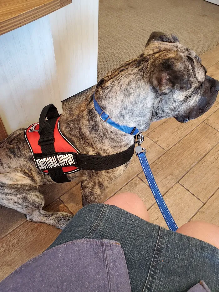 Banfield Pet Hospital 12