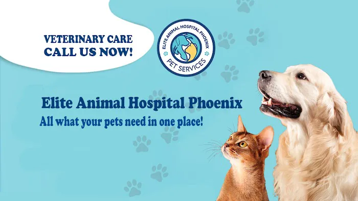Elite Animal Hospital Phoenix 1