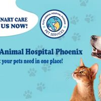 Elite Animal Hospital Phoenix ico