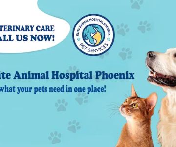 Elite Animal Hospital Phoenix