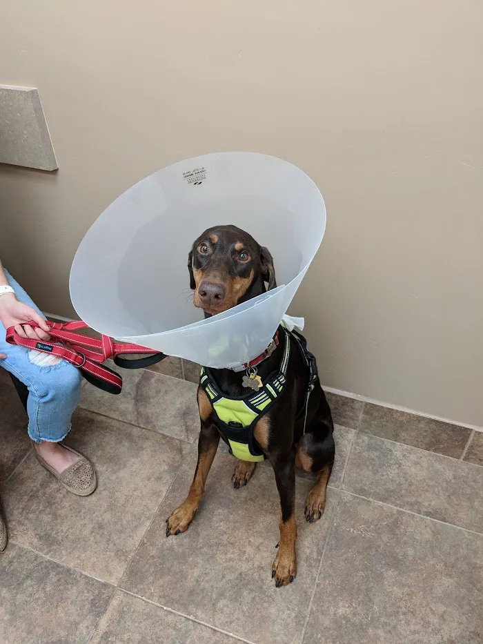 Madison Animal Hospital & Grooming 12