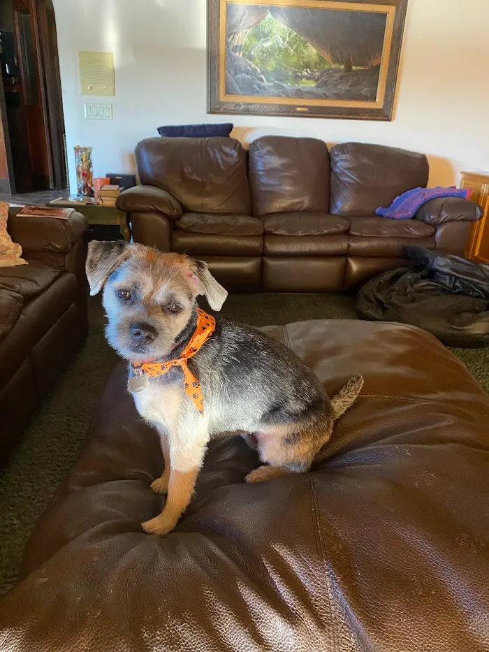 Madison Animal Hospital & Grooming 12