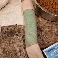 East Maryland Animal Hospital: Martens Melana DVM ico