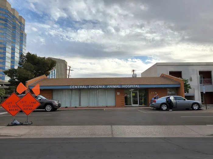 Central Phoenix Animal Hospital 12