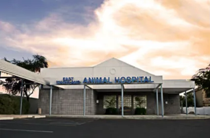 East Maryland Animal Hospital 12