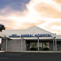 East Maryland Animal Hospital ico