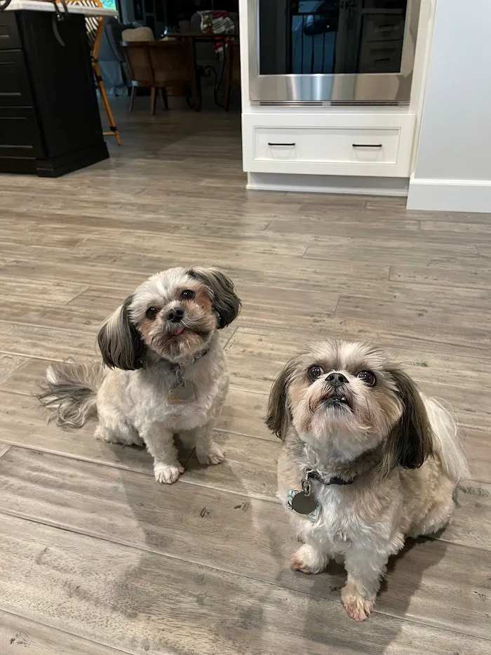 East Maryland Animal Hospital 12