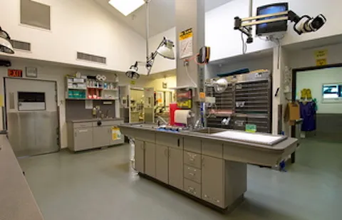 East Maryland Animal Hospital 12
