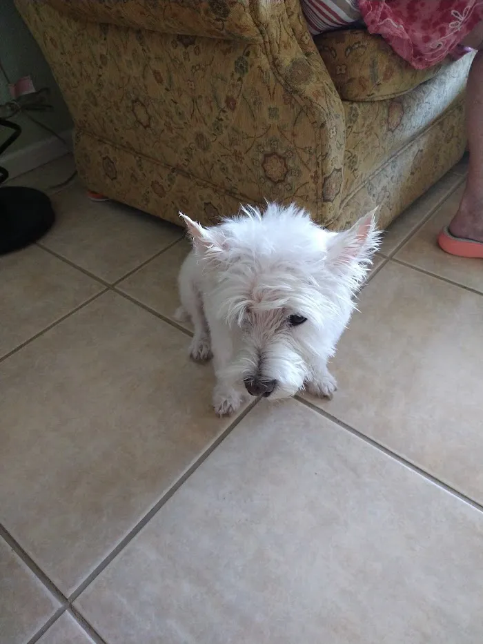 Eastside Animal Hospital 5