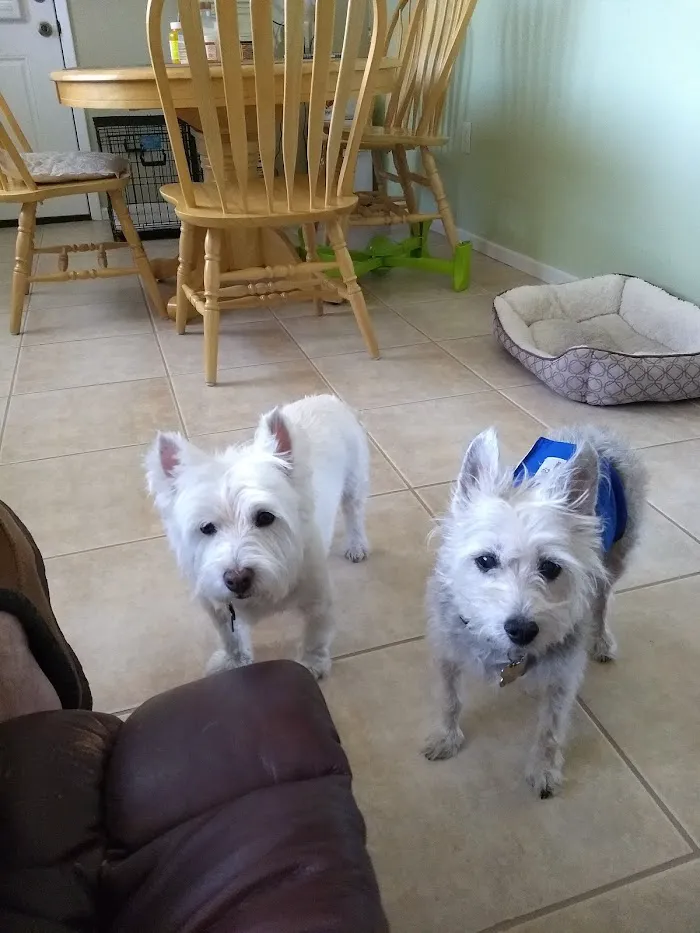 Eastside Animal Hospital 1