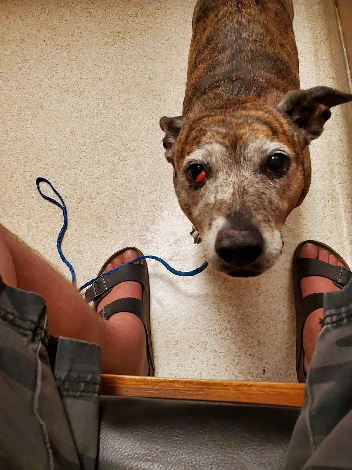 Eastside Animal Hospital 8