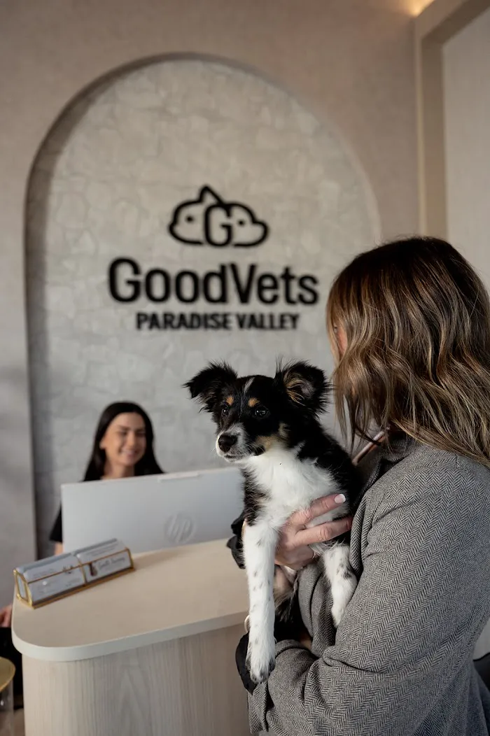 GoodVets Paradise Valley 6