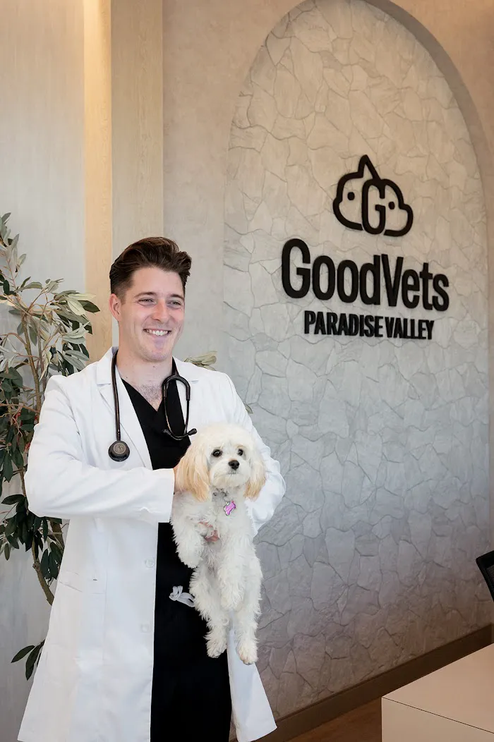 GoodVets Paradise Valley 9