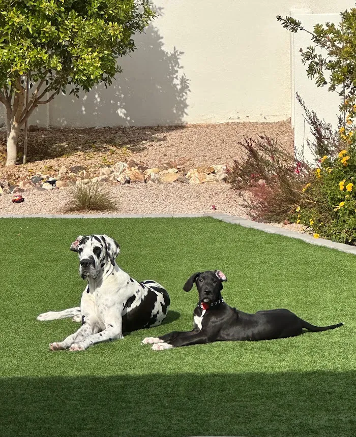 Kierland Animal Clinic 6
