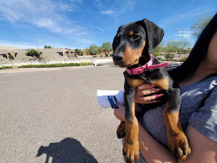 Quartz Mountain Animal Hospital 2