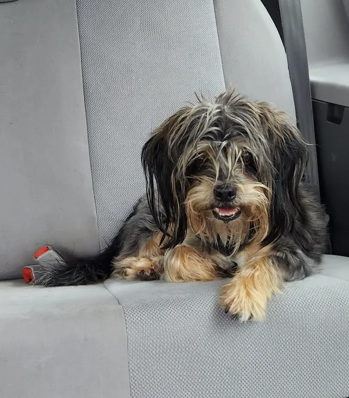 Mccormick Ranch Pet Care Center 4