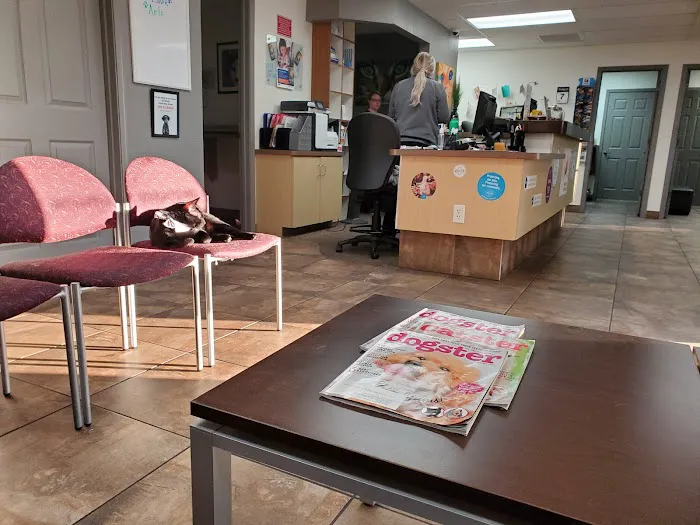 Mccormick Ranch Pet Care Center 2