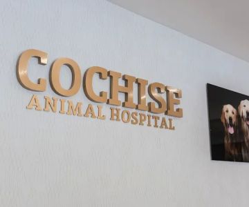 Cochise Animal Hospital