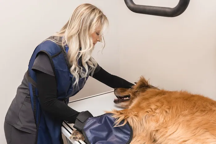 Cochise Animal Hospital 3