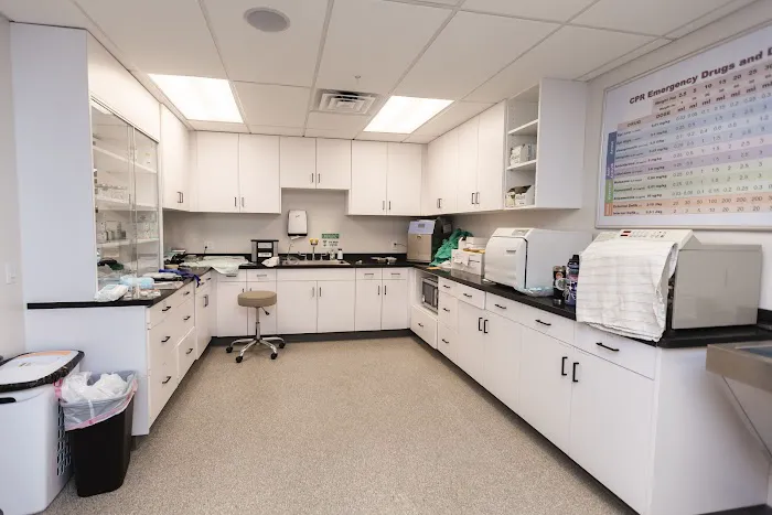 Cochise Animal Hospital 2