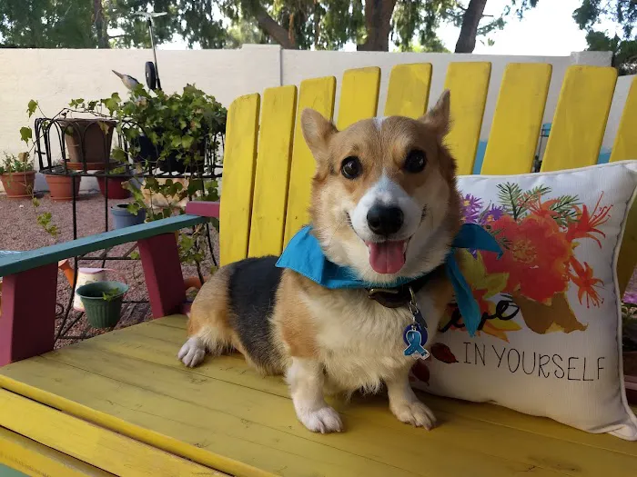 KC Animal Hospital & Pet Resort 7