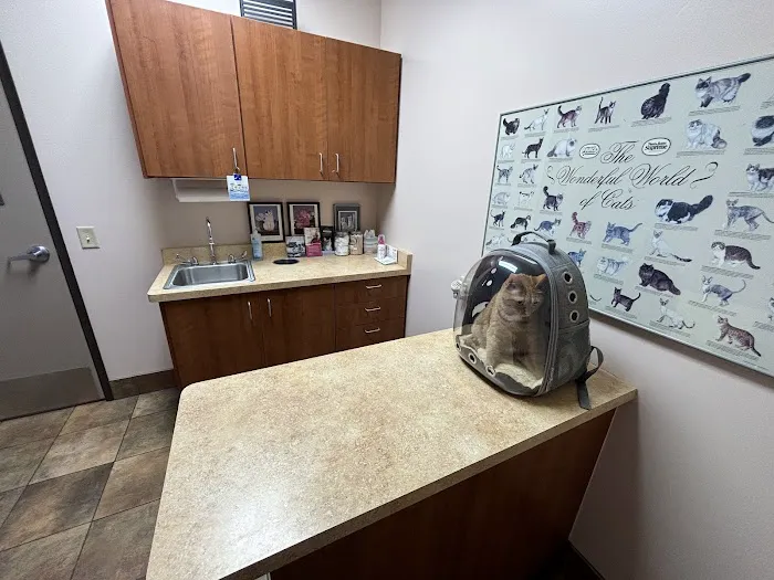 KC Animal Hospital & Pet Resort 3