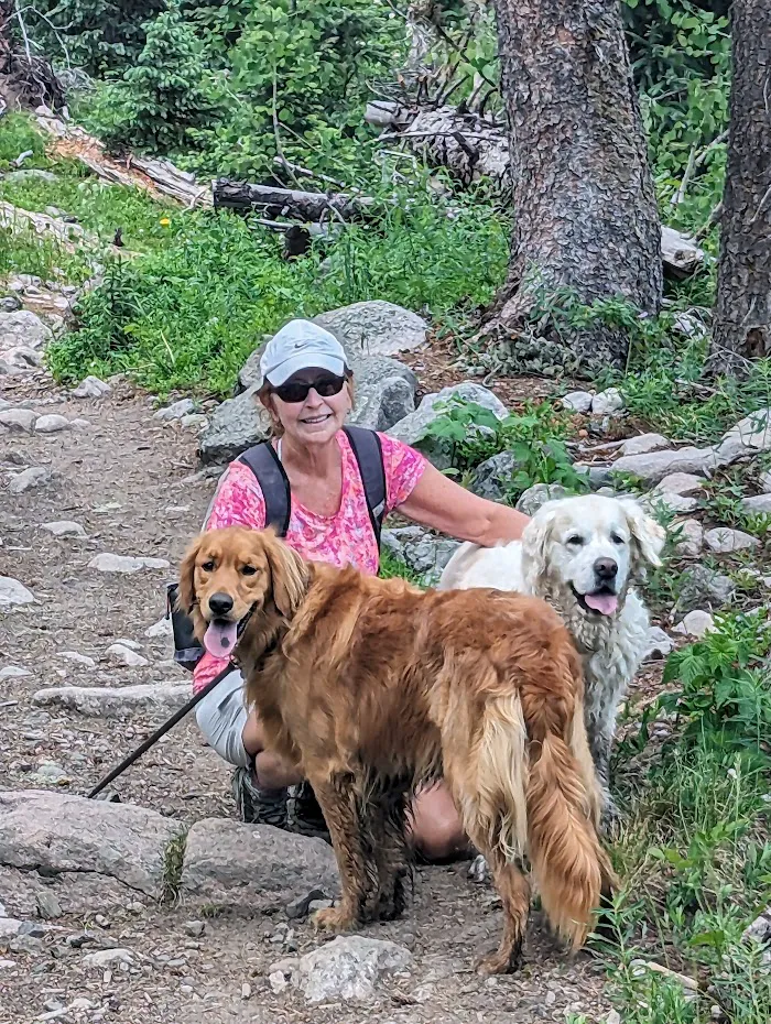 KC Animal Hospital & Pet Resort 10