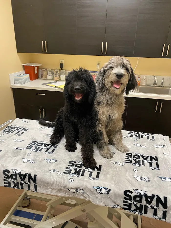 Four Peaks Animal Clinic 1