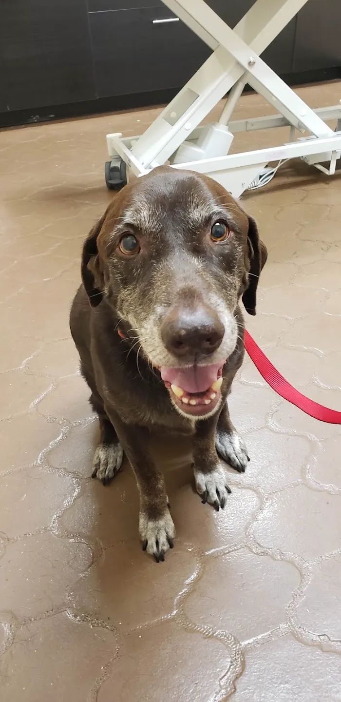 Four Peaks Animal Clinic 10
