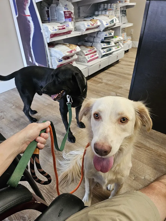 Four Peaks Animal Clinic 5