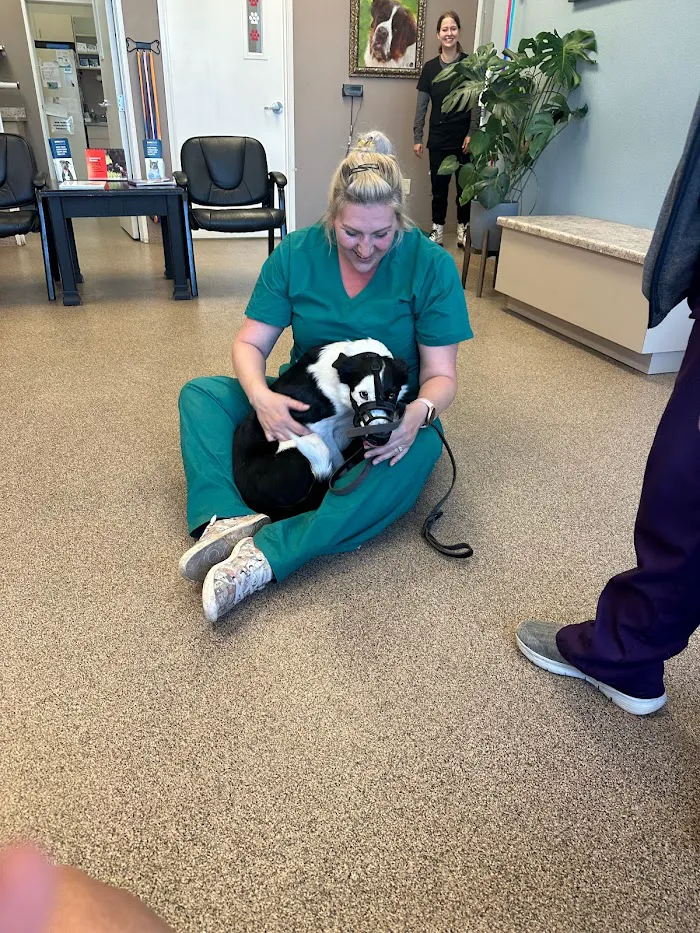 Stonecrest Animal Hospital 5