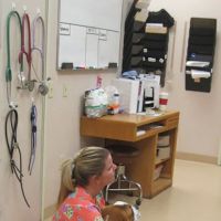 Stonecrest Animal Hospital ico