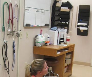 Stonecrest Animal Hospital